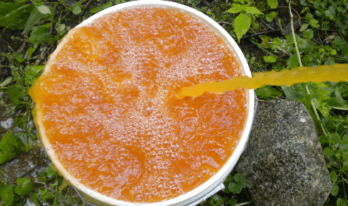 When Your Water Starts Talking Back (And What It’s Trying to Say)